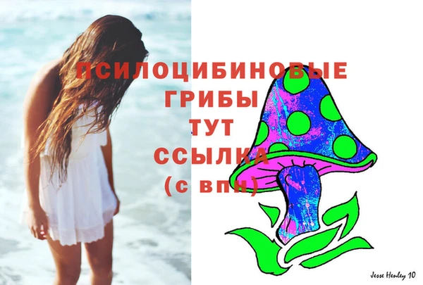 ALPHA-PVP Богородицк